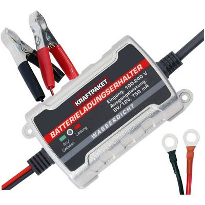 A silver battery charger with a label 'Battery Charge Maintainer'. Clamps on the left, cable with ring terminals on the right.