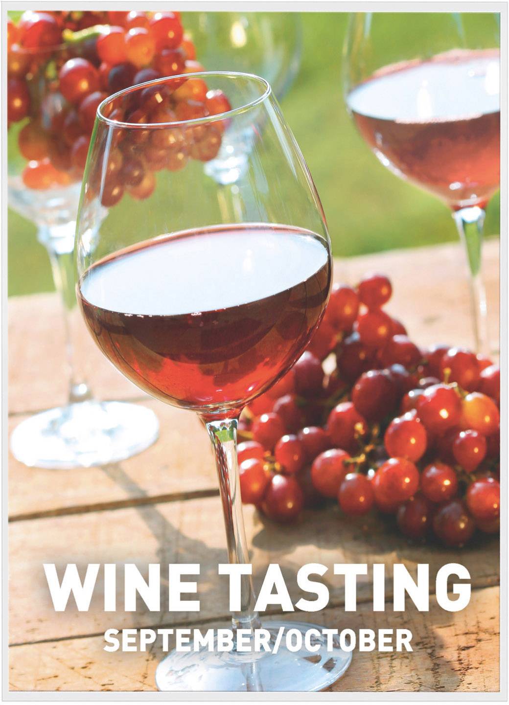 Wine Tasting September/October