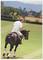 A person on a horse playing polo on a green field, royalty-free 3D illustration. Trees and mountains are visible in the background.