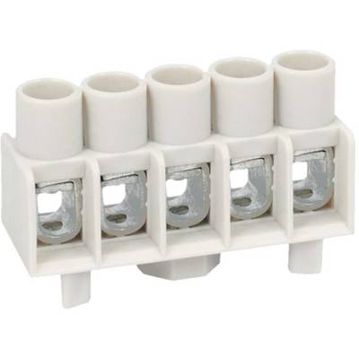 Five-pole electrical terminal block made of plastic and metal, used for the secure connection of wires in electrical circuits.