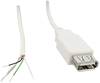 USB A coupling 2.0 with an open end Connector, straight USB A coupling 2.0 10080112 BKL Electronic Content: 1 pc(s)
