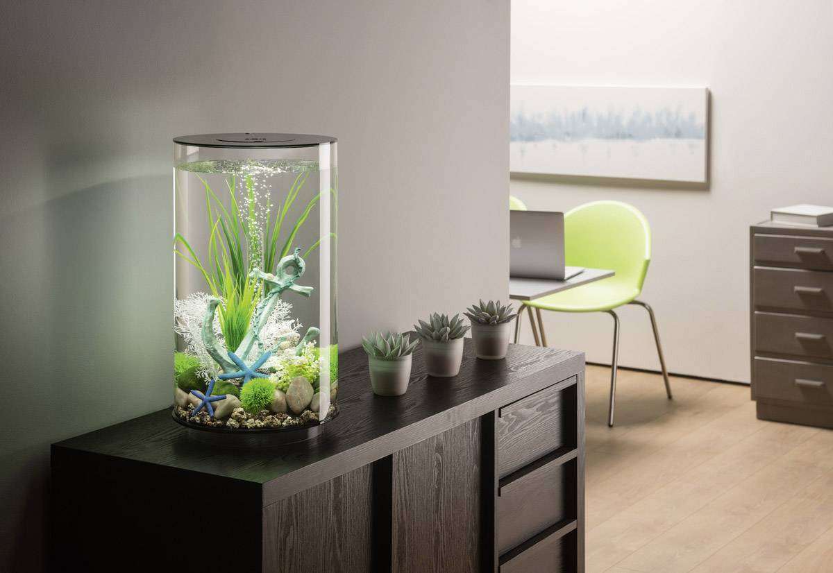 Oase 72066 biOrb TUBE 30 LED schwarz Fish tank 30 l LED lighting-2