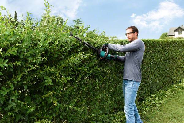 Bosch Home And Garden Ahs 50 20 Li Baretool Hedge Trimmer W O Battery