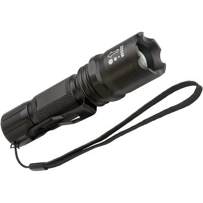 Brennenstuhl LuxPremium TL 250F 1178600161 LED (monochrome) Torch Wrist strap battery-powered 250 lm 4 h 215 g-1