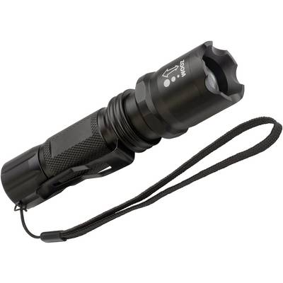 Brennenstuhl LuxPremium TL 250F 1178600161 LED (monochrome) Torch Wrist strap battery-powered 250 lm 4 h 215 g-2