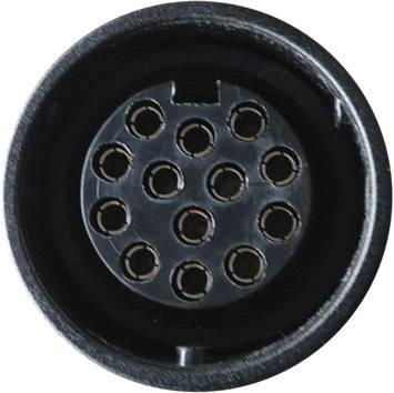 A twelve-pole electrical round plug, shown front-on, recognisable by the uniform arrangement of the socket contacts.