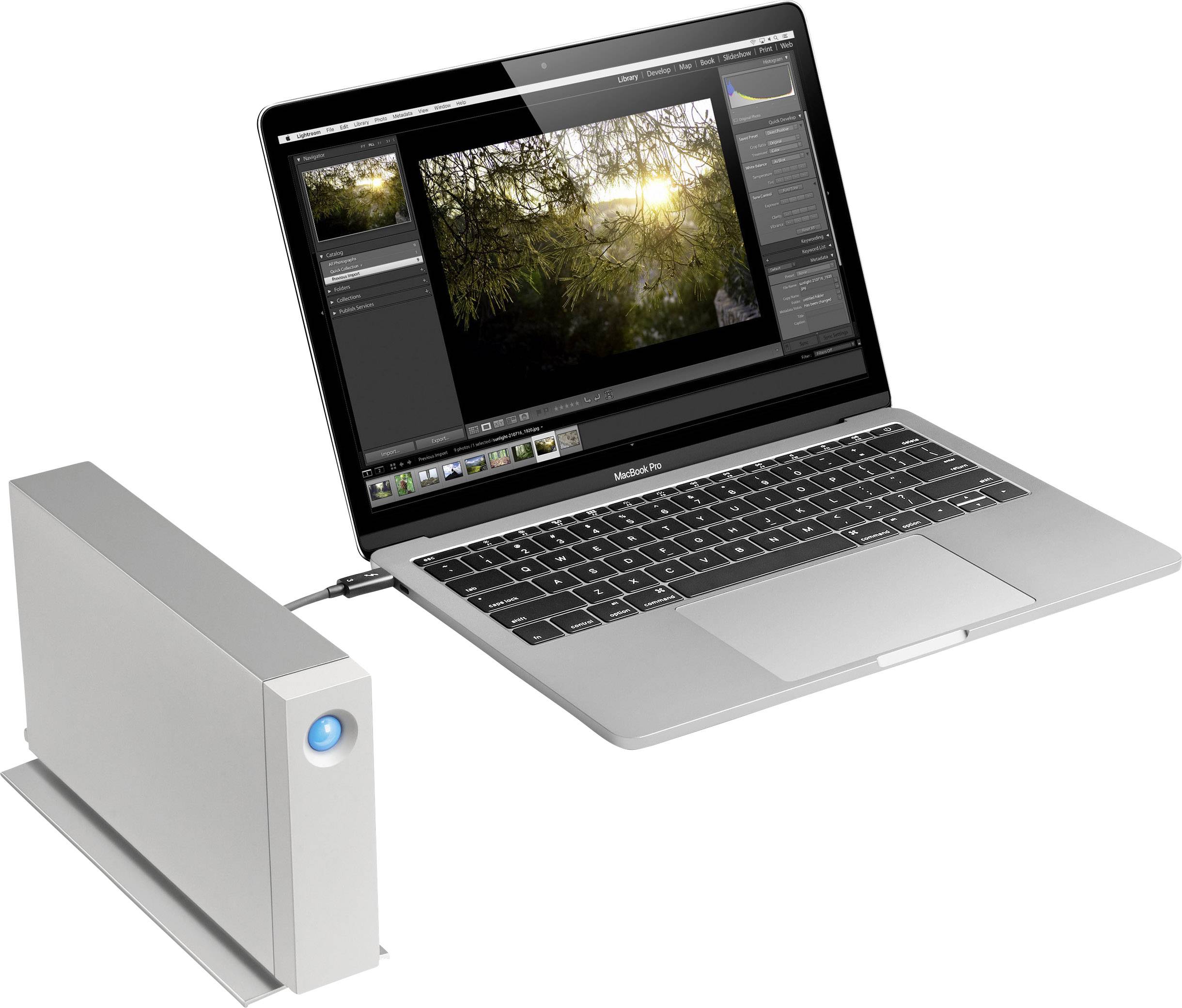 LaCie d2 Thunderbolt 3 10 TB 3.5