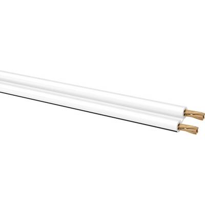 Two parallel white speaker cables with visible copper wires at the ends, against a white background.