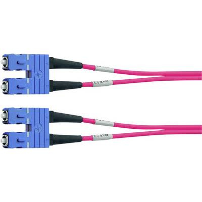 Two blue fibre optic cables with pink sheathing, each with two connectors, lie parallel to one another.