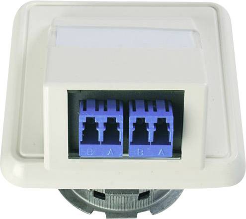 Single Ethernet wall socket with two blue Ethernet ports labelled 'A' and 'B'. Housing is white.