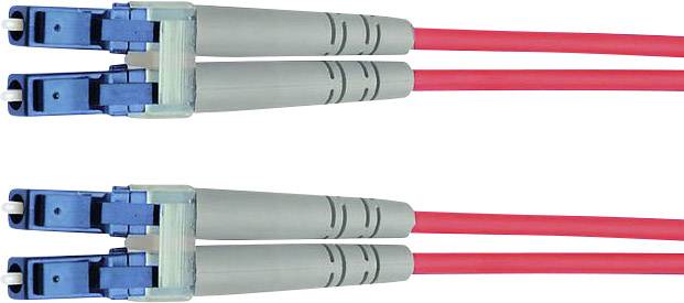 Two red fibre optic cables with blue connectors, running parallel and ready for network connection.