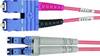 Telegärtner 100012136 Fibreglass FO Cable [1x SC plug - 1x LC plug] 50/125 µ Multimode OM2 1.00 m