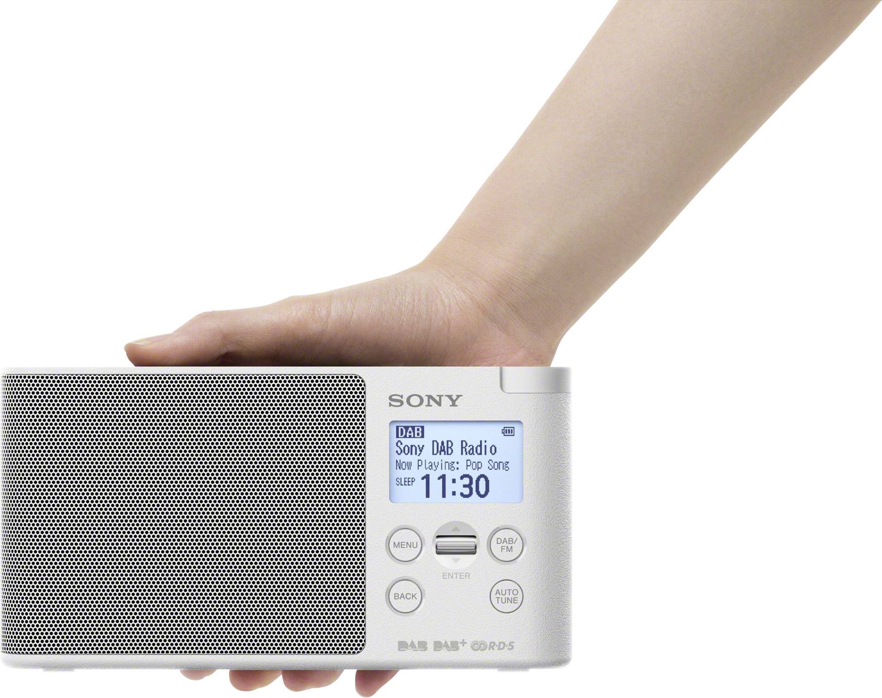 aardappel Dubbelzinnig Verdorie Sony XDR-S41D Desk radio DAB+, DAB, FM White | Conrad.com