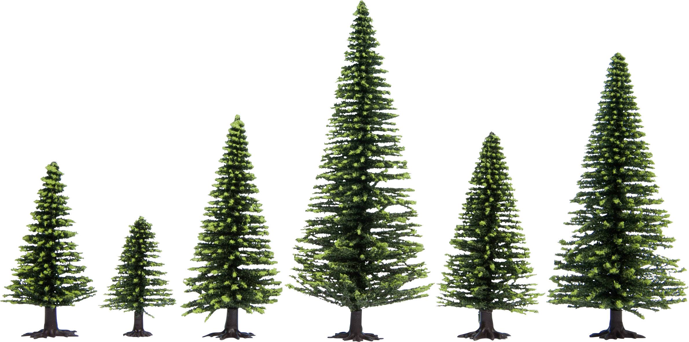 Several pine trees of varying sizes arranged from small to large on a white background.