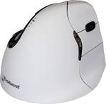 Evoluent Vertical Mouse 4 Mac Wireless Right