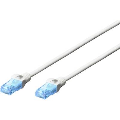Two white Ethernet cables with blue connectors run parallel to each other on a white background.