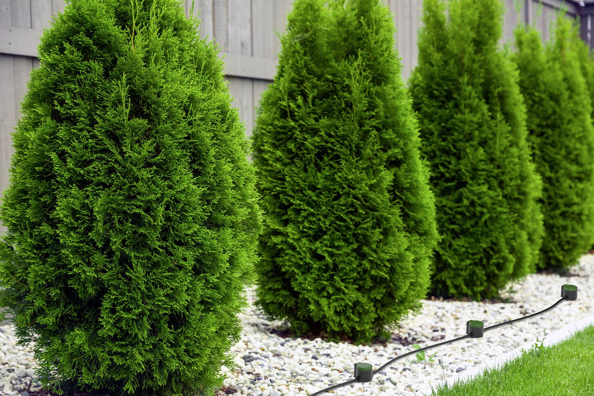 GAO EMP703 Weatherproof power strip 1-piece Green-1