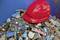 'Red hard hat with the name Marc, lying on a pile of rubble. Beside it a marker, brand Edding 3000. Background: blue wall.'
