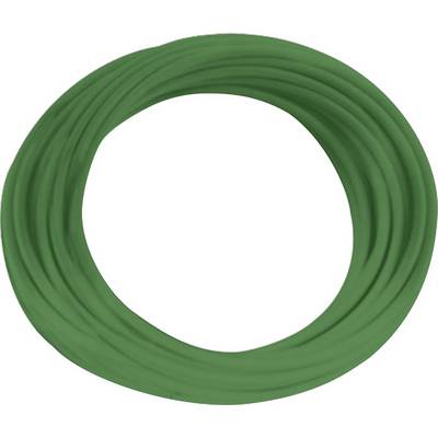 Green plastic round ring with a smooth surface, used as a grip or toy.
