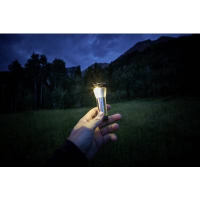 A hand holds a glowing light bulb against a dark woodland background. The scene conveys an atmosphere of outdoor creativity.