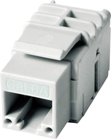 A grey Cat.6A network module with two openings for Ethernet plugs, suitable for high-speed data transmission.