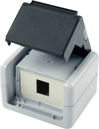Electrical socket with a flipped-up protective cover and a rectangular opening at the front, in grey and black.