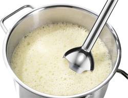 Bosch Haushalt Msm2410k Hand Held Blender 400 W With Mixing Jar