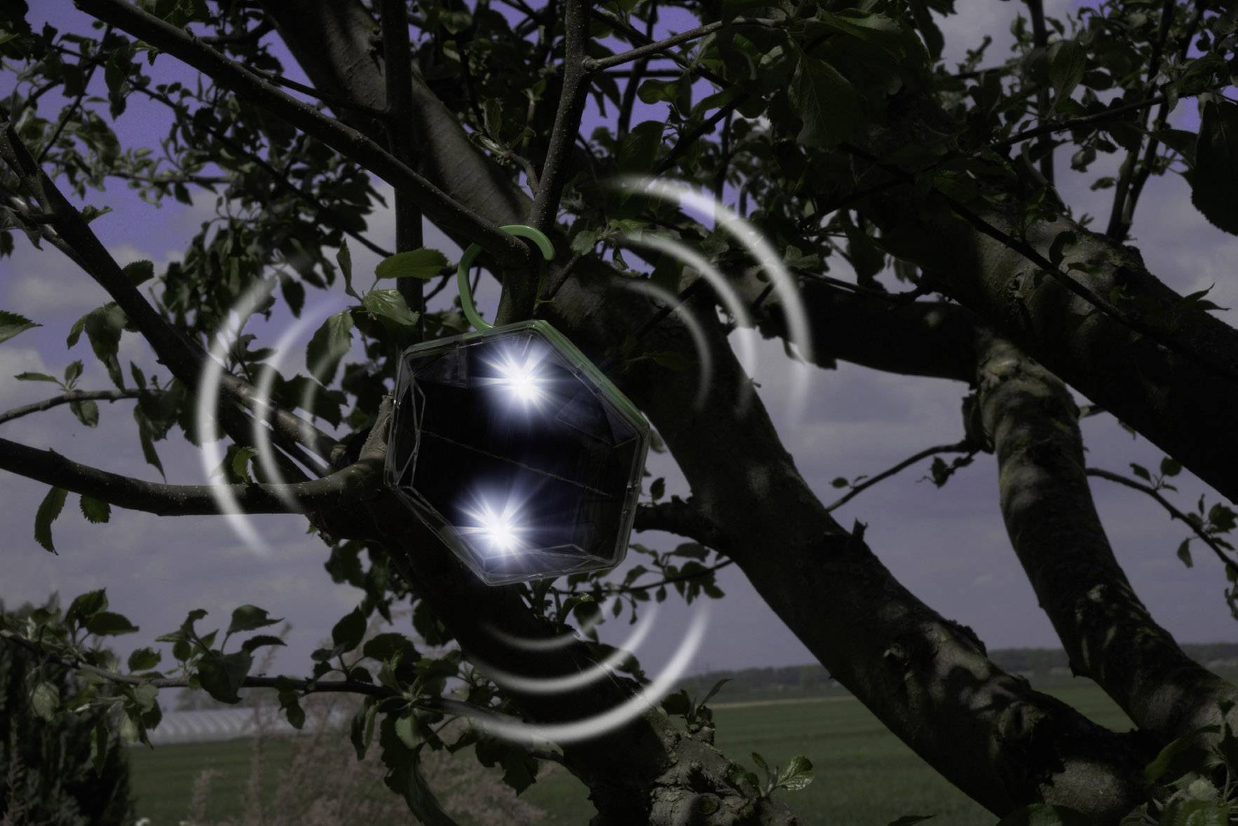 Gardigo Solar 360° Bird repeller Working principle Multi-frequency, LED light Operating range 150 m² 1 pc(s)-8