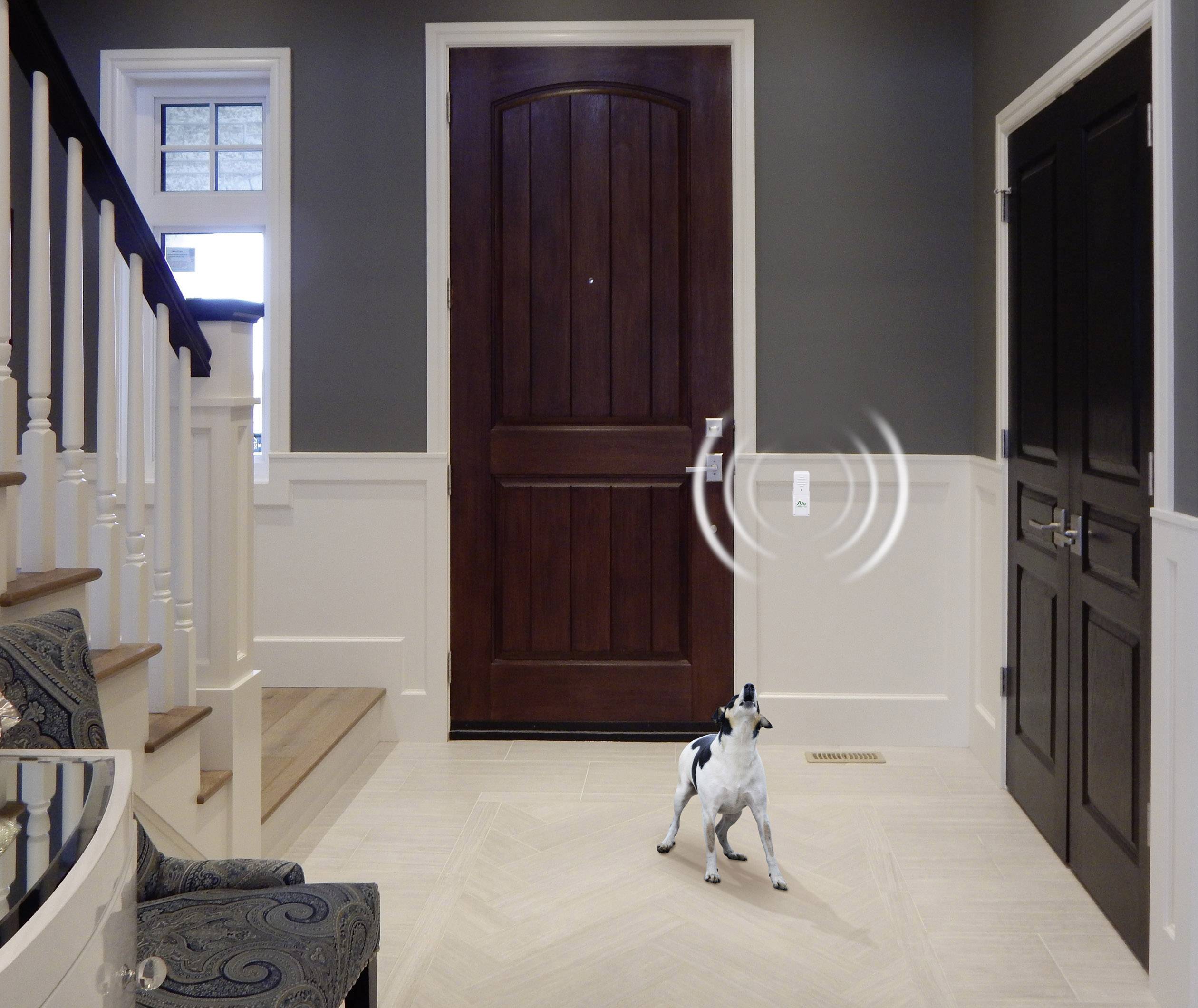 Gardigo Bell-Stopper Dog silencer White 1 pc(s)-7