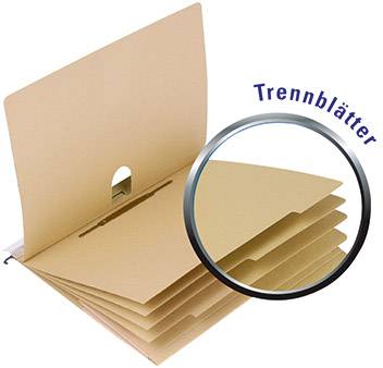 Hamelin File display pocket vertic® ULTIMATE® A4 Ecru brown 100082310 1 pc(s)