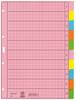 Leitz 4340 Index A4 Blank Flax paper Multicolour 10 dividers 43400000