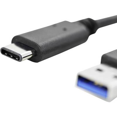 A USB-C plug and a USB-A plug with a blue interior are lying side by side. Both are commonly used for data transfer.