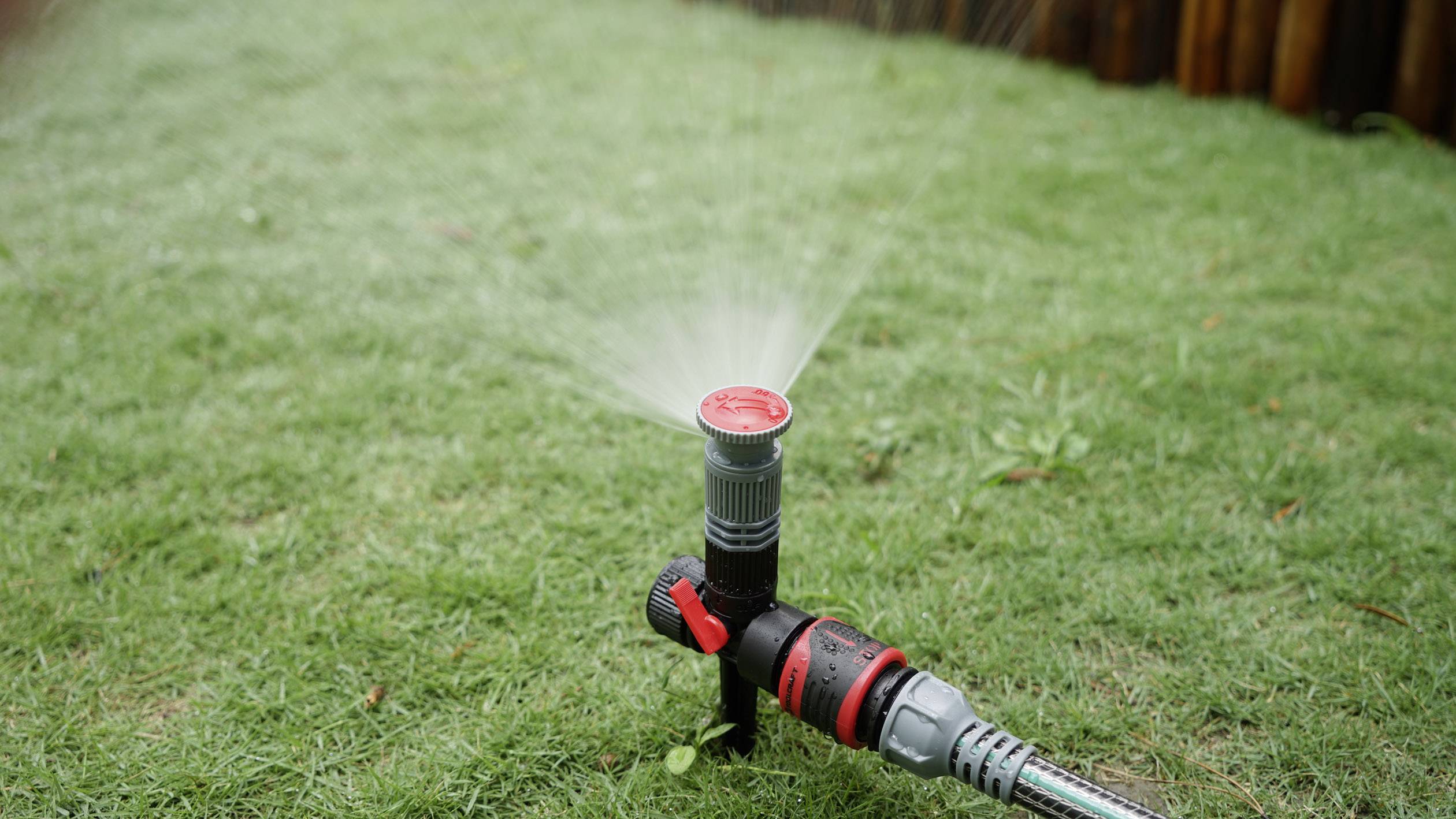 A lawn sprinkler is watering green grass on a meadow. A wooden fence can be seen in the background.