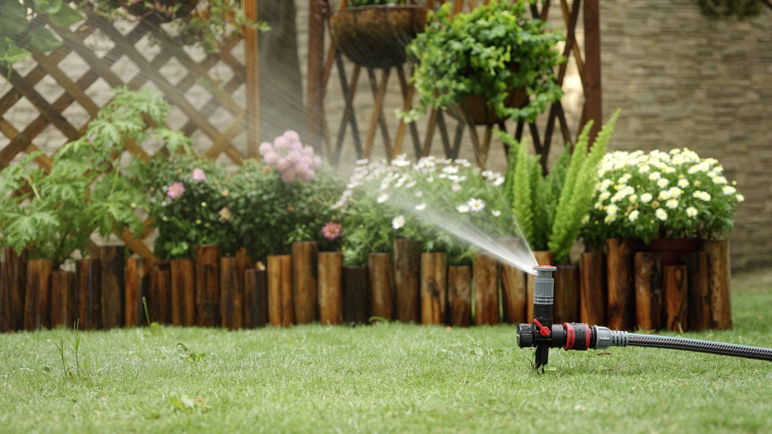A sprinkler is watering a green lawn in front of a flower bed with colourful flowers and a wooden border. The background shows a trellis and a stone wall.
