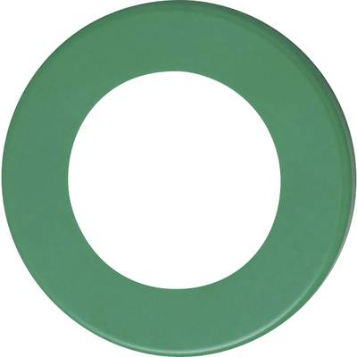 ifm Electronic E80373 Cover ring Green E80373  1 pc(s)