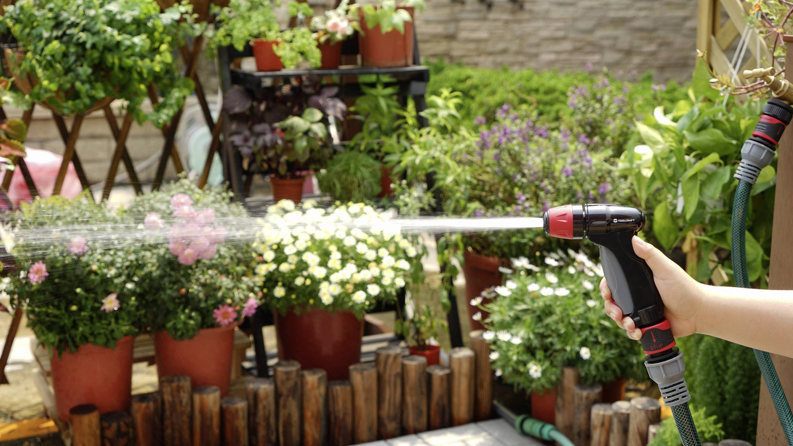A person is watering plants in a garden with a hosepipe, surrounded by colourful plant pots and green foliage.