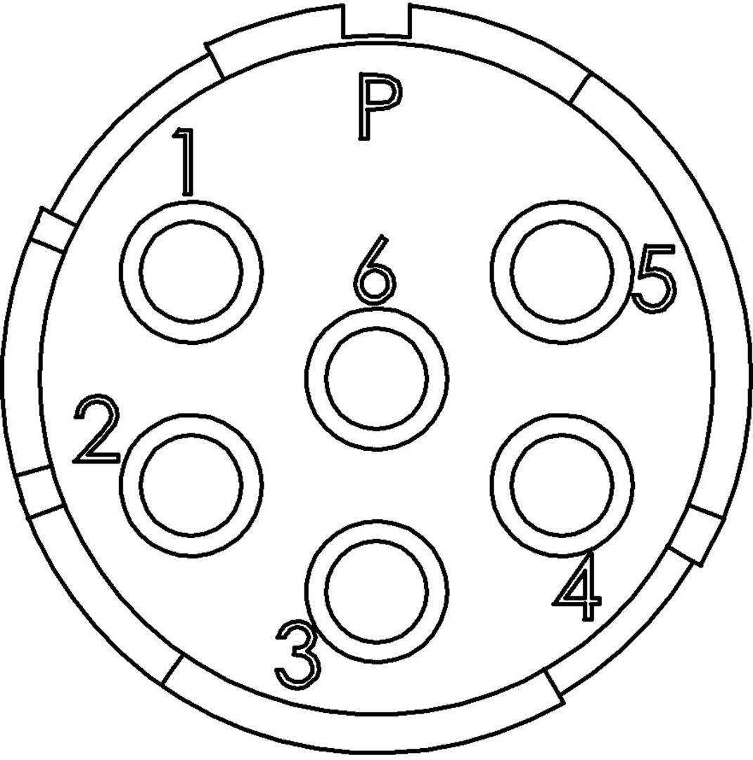 Electrical socket connector with seven circles, numbered from 1 to 6 and a marked circle 'P' at the top.