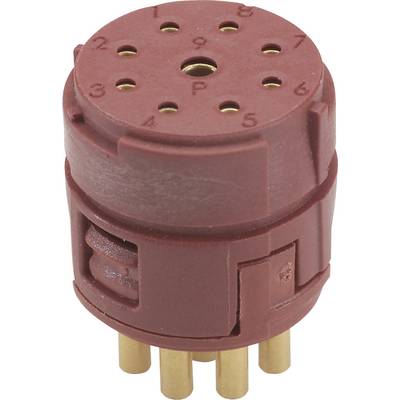 A red electrical connector with eight golden pins, numbered from 1 to 8 on the surface, suitable for electronic connections.