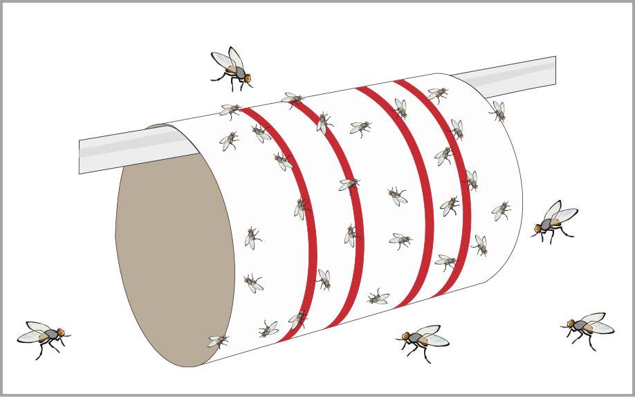 A fly roll hanging on a pole, with numerous flies stuck to it. The roll has red stripes as markings.