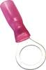 TRU COMPONENTS 1583110 Ring terminal + heatshrink Cross section (max.)=1.50 mm² Partially insulated Red 1 pc(s)