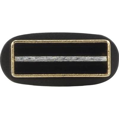 'Close-up of a USB-C connector with an oval shape and golden edges.'