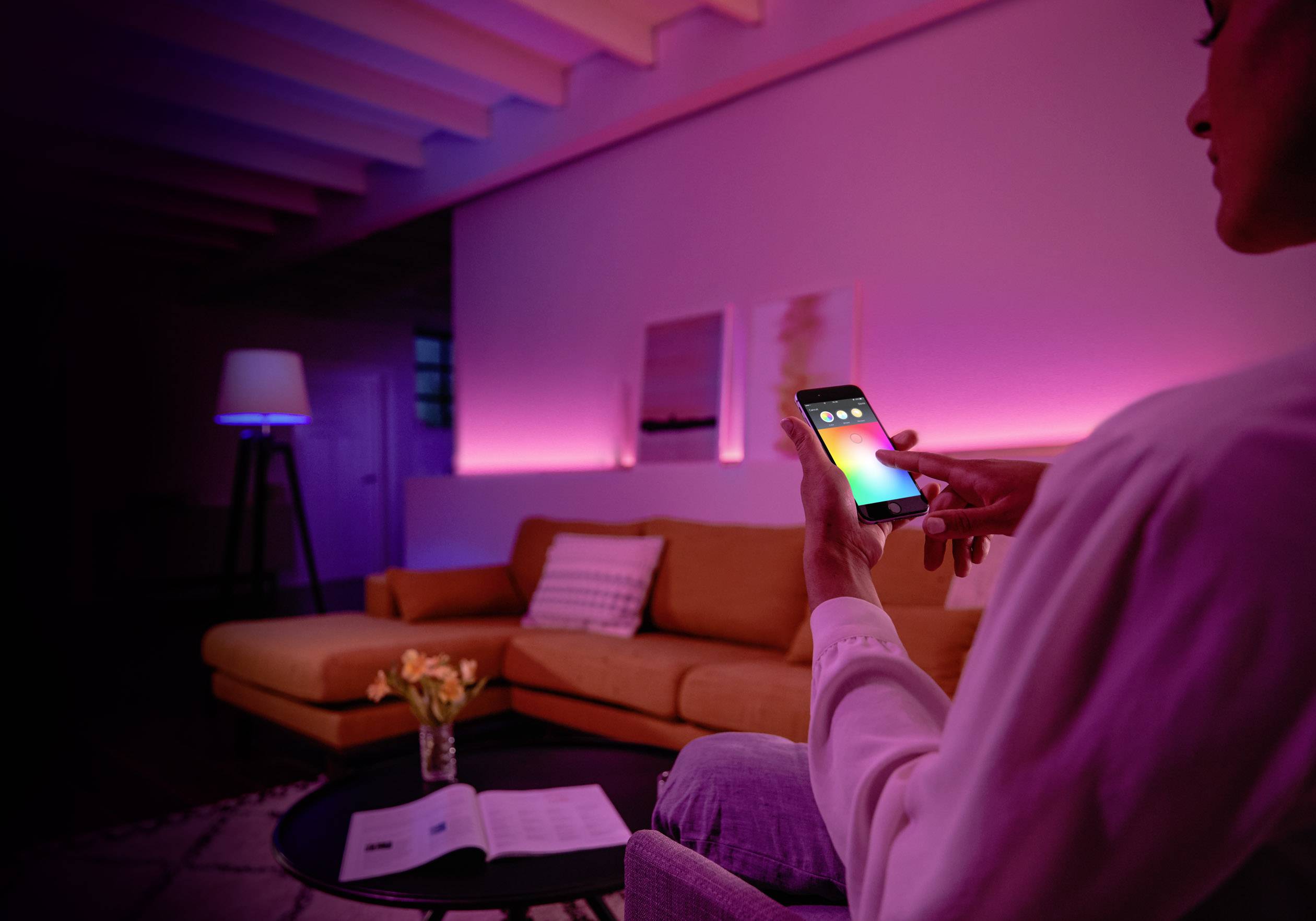 home mini philips hue