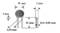 Technical drawing of a component with dimensions: 'D max', '3 max', '2 max', '2.54 mm', '25 min', '0.5±0.05 mm'<br><br>The translation is identical as these are technical measurement annotations which are typically kept in their original form across languages.