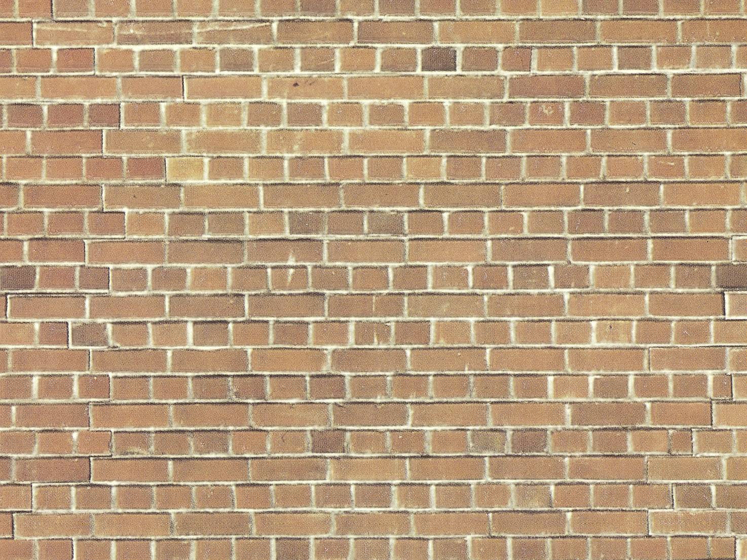 NOCH 57550 H0, TT Wall panel (L x W) 320 mm x 150 mm Plastic