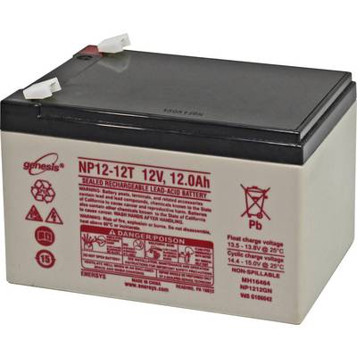 'Sealed, Rechargeable Lead-Acid Battery NP12-12T, 12V, 12.0Ah' with warning notices and technical details on the front.