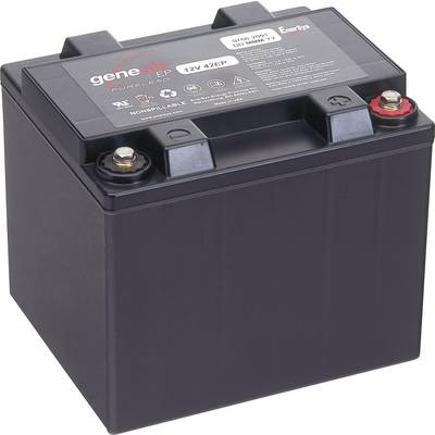 '12V 42EP Battery, black casing, red and black terminals on top; suitable for industrial use and power supplies.'