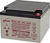 EnerSys Genesis NP24-12 VRLA 12 V 24 Ah AGM (W x H x D) 166 x 125 x 175 mm M5 connector Maintenance-free, VDS certificate, Low self-discharge levels, High number of charge cycles