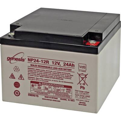 12V, 24Ah Lead-Acid Battery by Genesis, Model NP24-12R. Sealed and rechargeable. Please observe important notes on label.