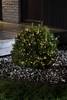 Konstsmide 3735-100 Cluster fairy lights Outside battery-powered No. of bulbs 240 LED (monochrome) Warm white Illuminated length: 3 m