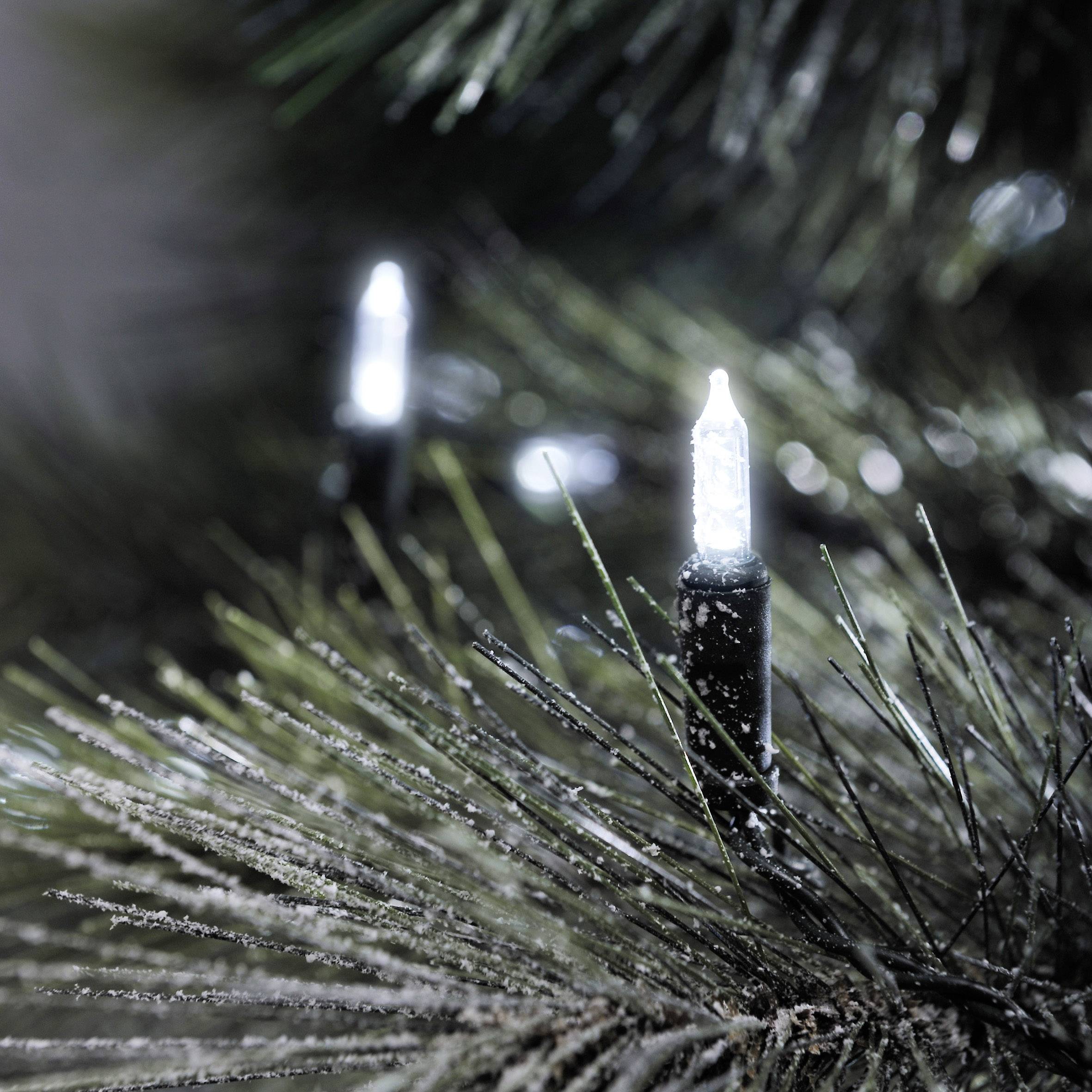 White lights on a green Christmas tree branch illuminate fine, needle-like leaves and create a festive atmosphere.